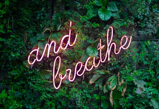 Image of an ivy covered wall with a neon pink sign that reads, "just breathe"